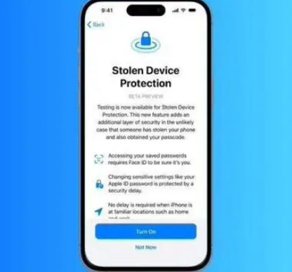 宁南苹果授权维修店分享被盗设备保护功能开启方法 