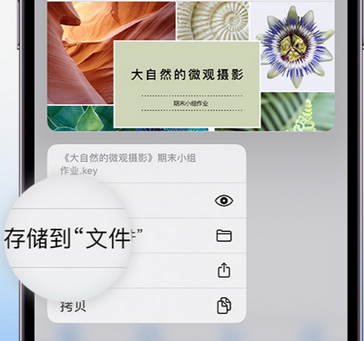 宁南apple维修中心分享iPhone文件应用中存储和找到下载文件