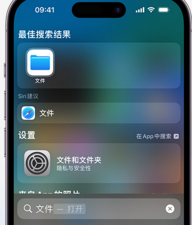 宁南apple维修中心分享iPhone文件应用中存储和找到下载文件