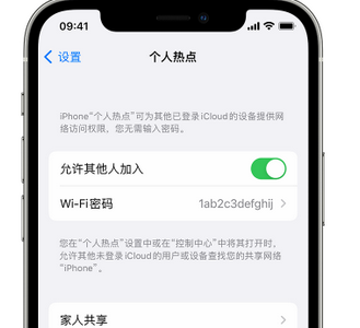 宁南apple服务站点分享iPhone上个人热点丢失了怎么办 