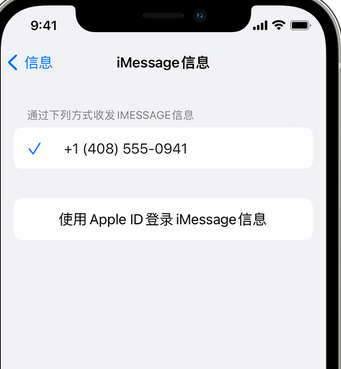 宁南apple维修iPhone上无法正常发送iMessage信息 