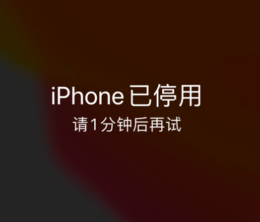 宁南苹果手机维修分享:iPhone 显示“不可用”或“已停用”怎么办？还能保留数据吗？ 