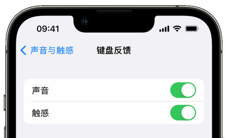 宁南苹果手机维修分享iPhone 14触感键盘使用方法 