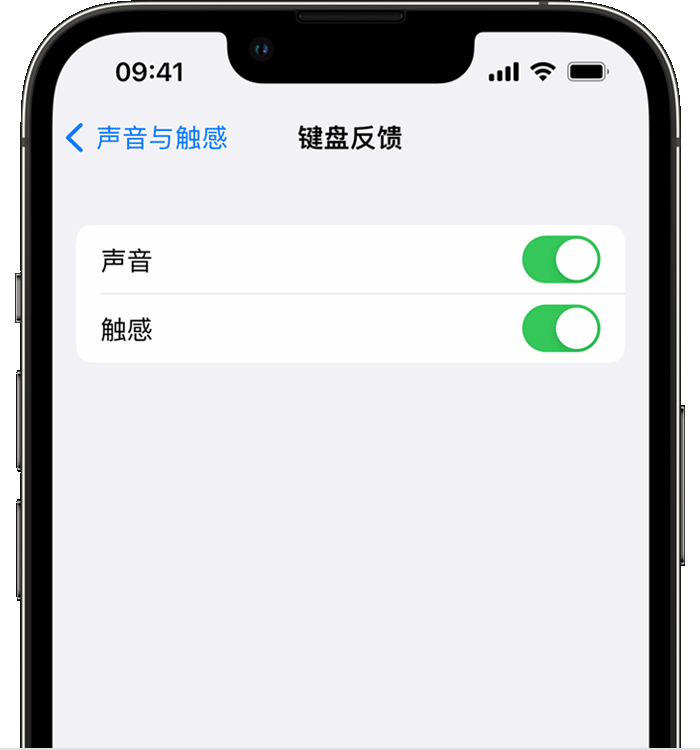 宁南苹果14维修店分享如何在 iPhone 14 机型中使用触感键盘 