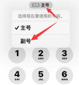 宁南苹果14维修店分享iPhone 14 Pro Max使用副卡打电话的方法 