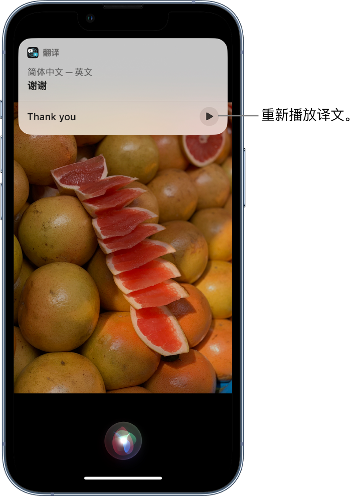 宁南苹果14维修分享 iPhone 14 机型中使用 Siri：了解 Siri 能帮你做什么 