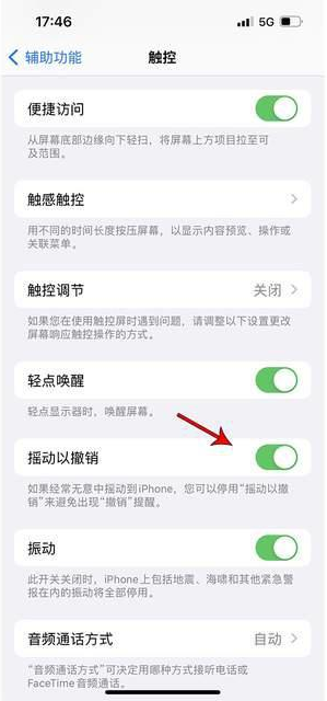 宁南苹果手机维修分享iPhone手机如何设置摇一摇删除文字 